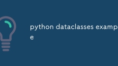 Python Datacklasse Beispiel