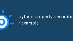 Python Property Decorator Beispiel