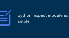 Python -Beispiel Beispiel für das Modul