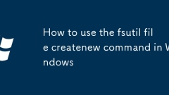 How to use the fsutil file createnew command in Windows