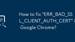 Bagaimana untuk memperbaiki 'err_bad_ssl_client_auth_cert' di Google Chrome?