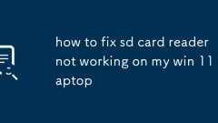 Cara Memperbaiki Pembaca Kad SD Tidak Mengusahakan Komputer Win 11 saya