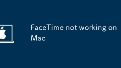 FaceTime not working on Mac