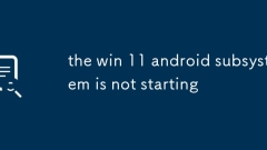 Win 11 Androidサブシステムは開始されていません