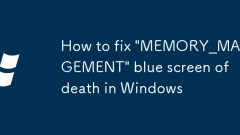 How to fix 'MEMORY_MANAGEMENT' blue screen of death in Windows