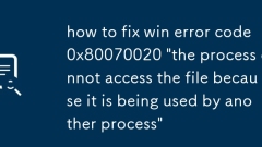 So beheben Sie den Gewinnfehler Code 0x80070020 'Der Prozess kann nicht auf die Datei zugreifen, da er von einem anderen Prozess verwendet wird'
