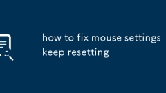 how to fix mouse settings keep resetting