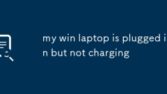 my win laptop is plugged in but not charging