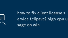 So reparieren Sie Client Lizenzservice (CLIPSVC) Hohe CPU -Nutzung beim Sieg