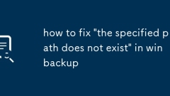 So beheben Sie 'Der angegebene Pfad existiert nicht' in Win -Backup