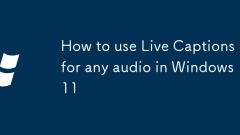 How to use Live Captions for any audio in Windows 11