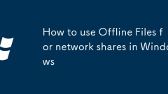 How to use Offline Files for network shares in Windows