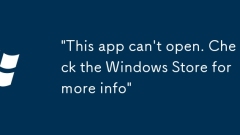 'This app can't open. Check the Windows Store for more info'