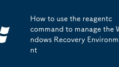 How to use the reagentc command to manage the Windows Recovery Environment