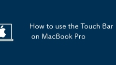 How to use the Touch Bar on MacBook Pro
