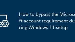 Windows 11 설정 중에 Microsoft 계정 요구 사항을 우회하는 방법