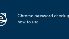 Chrome password checkup how to use