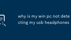 Pourquoi mon PC Win ne détecte-t-il pas mes écouteurs USB