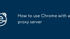 How to use Chrome with a proxy server