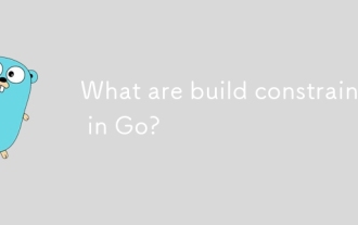 What are build constraints in Go?