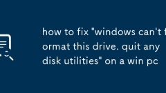 So beheben Sie 'Windows kann dieses Laufwerk nicht formatieren. Beenden Sie alle Festplatten -Dienstprogramme auf einem Win -PC'