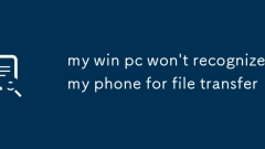 Mein Win -PC erkennt mein Telefon für die Dateiübertragung nicht