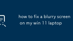 So reparieren Sie einen verschwommenen Bildschirm auf meinem Win 11 -Laptop