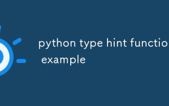 python type hint function example