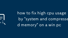 So reparieren Sie eine hohe CPU -Verwendung mit 'System und komprimierter Speicher' auf einem Win -PC