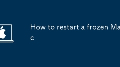 ?? ?? ?? ???? ??