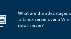 What are the advantages of a Linux server over a Windows server?