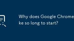 Why does Google Chrome take so long to start?