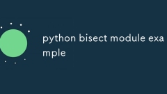Python Bisect模塊示例