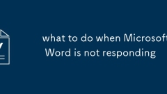 Was tun, wenn Microsoft Word nicht reagiert