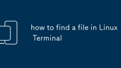 So finden Sie eine Datei im Linux -Terminal