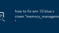 how to fix win 10 blue screen 'memory_management'