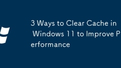 3 Ways to Clear Cache in Windows 11 to Improve Performance
