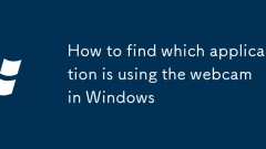 How to find which application is using the webcam in Windows