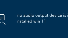 Es ist kein Audioausgaberger?t installiert WIN 11