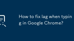 Wie repariere ich die Verz?gerung beim Eingeben von Google Chrome?