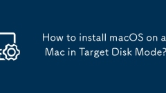 How to install macOS on a Mac in Target Disk Mode?