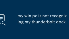 Mein Win -PC erkennt mein Thunderbolt -Dock nicht an