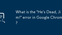 What is the 'He's Dead, Jim!' error in Google Chrome?