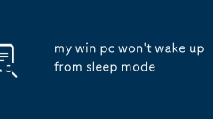 Mein Win -PC wacht nicht aus dem Schlafmodus auf
