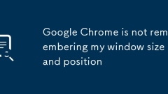 Google Chrome is not remembering my window size and position