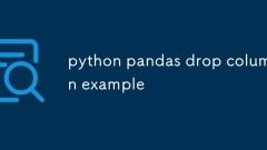 python pandas drop列示例