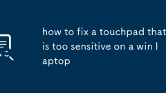 how to fix a touchpad that is too sensitive on a win laptop