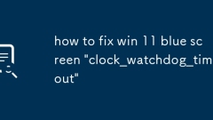 how to fix win 11 blue screen 'clock_watchdog_timeout'