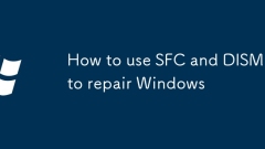 So verwenden Sie SFC und DISM, um Fenster zu reparieren