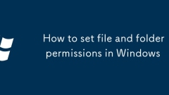 So setzen Sie Datei- und Ordnerberechtigungen in Windows